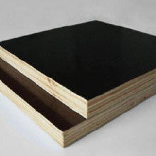 邊條膠合板 價格、批發(fā)與廠家全解析